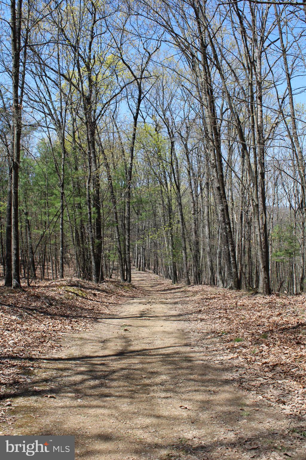 Crossover Road Flintstone, MD 21530 - Photo 3 of 25 Gallery Image 3