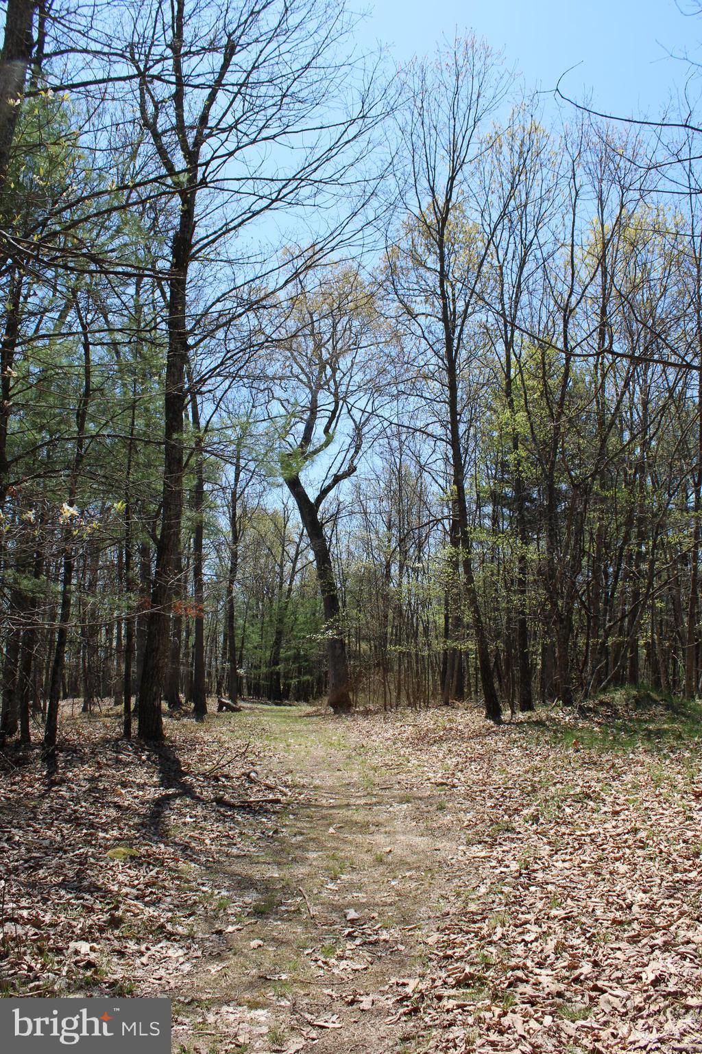 Crossover Road Flintstone, MD 21530 - Photo 22 of 25 Gallery Image 22