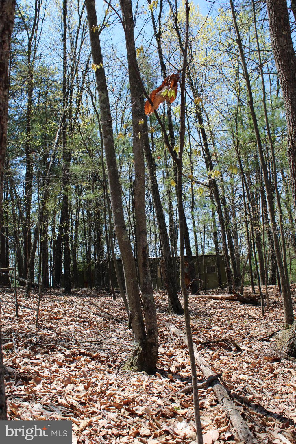 Crossover Road Flintstone, MD 21530 - Photo 6 of 25 Gallery Image 6