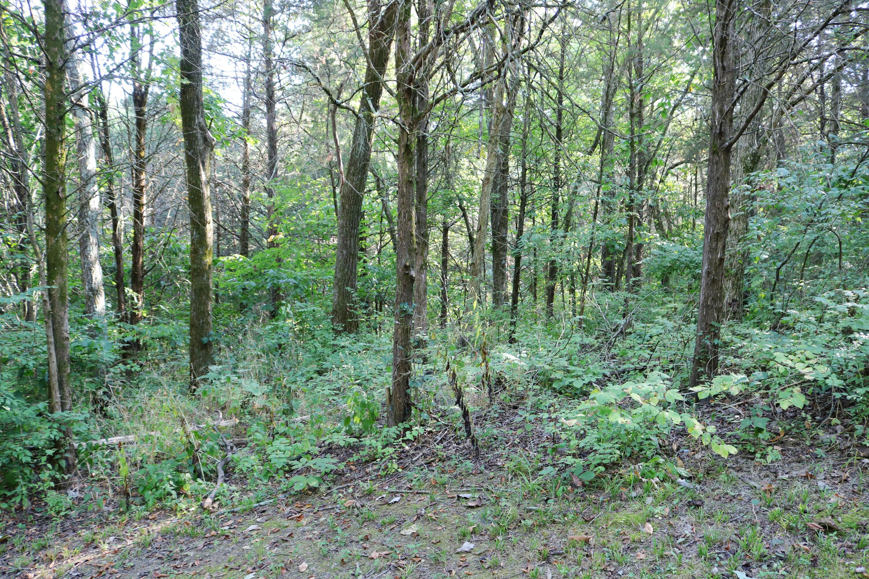 590 Agee Road Owenton, KY 40359 - Photo 21 of 22 IMG_2099_inPixio