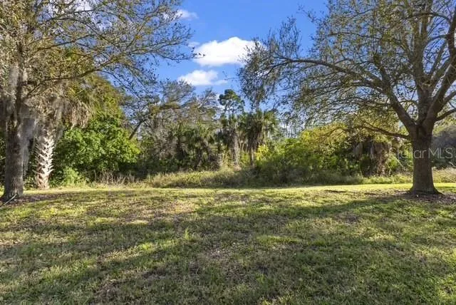 a view of a yard with a trees