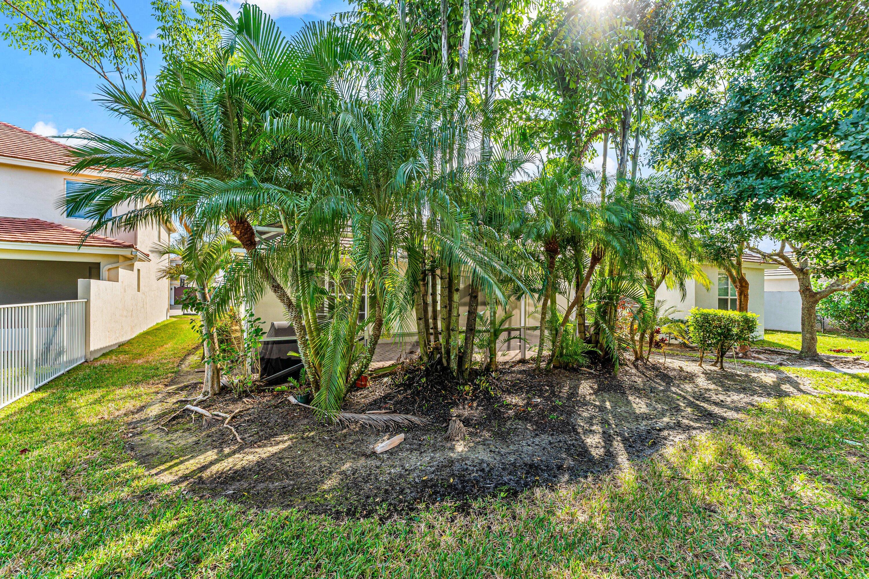 443 Belle Grove Lane West Palm Beach, FL 33411 - Photo 29 of 29 a view of backyard with green space