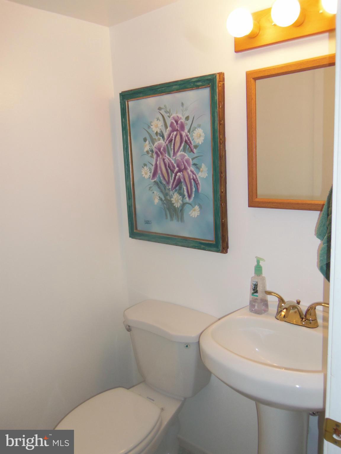 3724 Briars Road Olney, MD 20832 - Photo 22 of 30 Bath