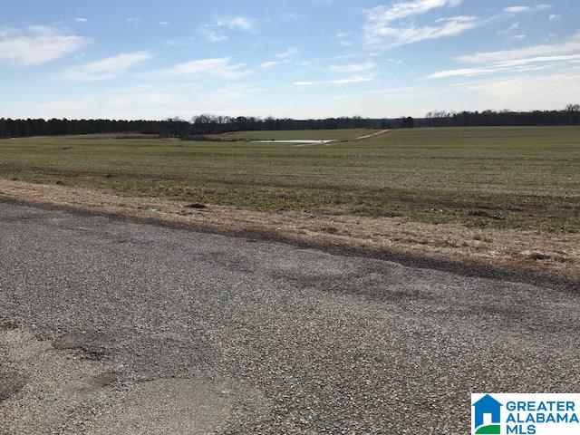 62 Spearman Road Thorsby, AL 35171 - Photo 24 of 49