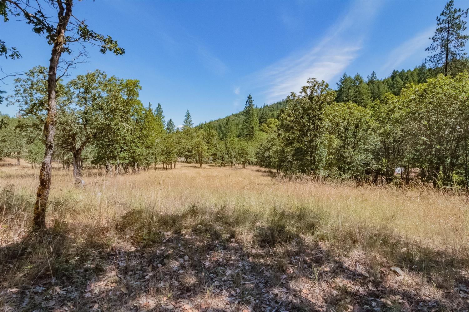 3599 Kane Creek Road Central Point, OR 97502 - Photo 18 of 20 Additional Photo