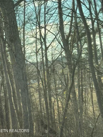 $25,000 | 904 County Road, Etowah, TN 37331