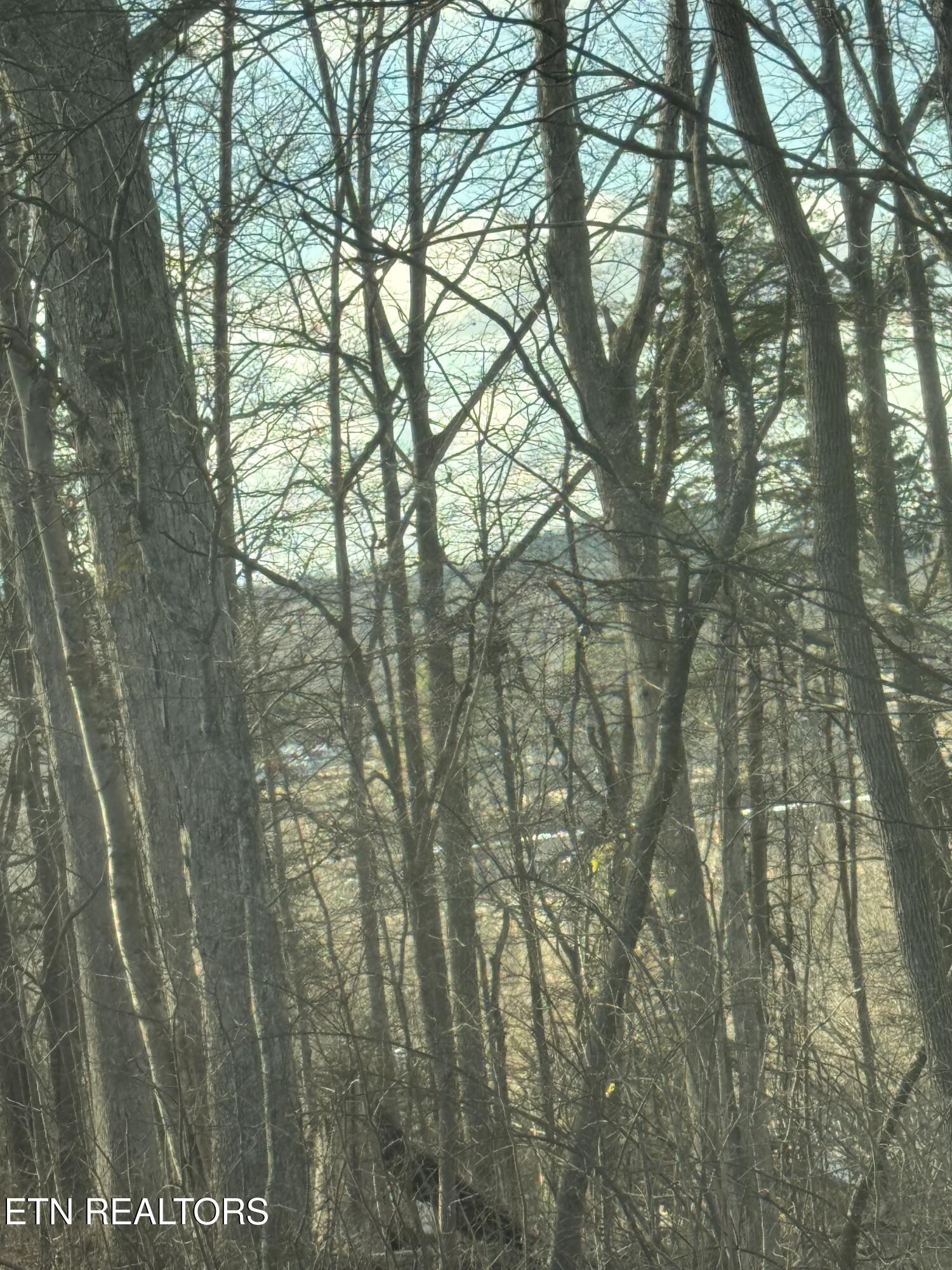 904 County Road Etowah, TN 37331 - Photo 2 of 2 IMG_9118