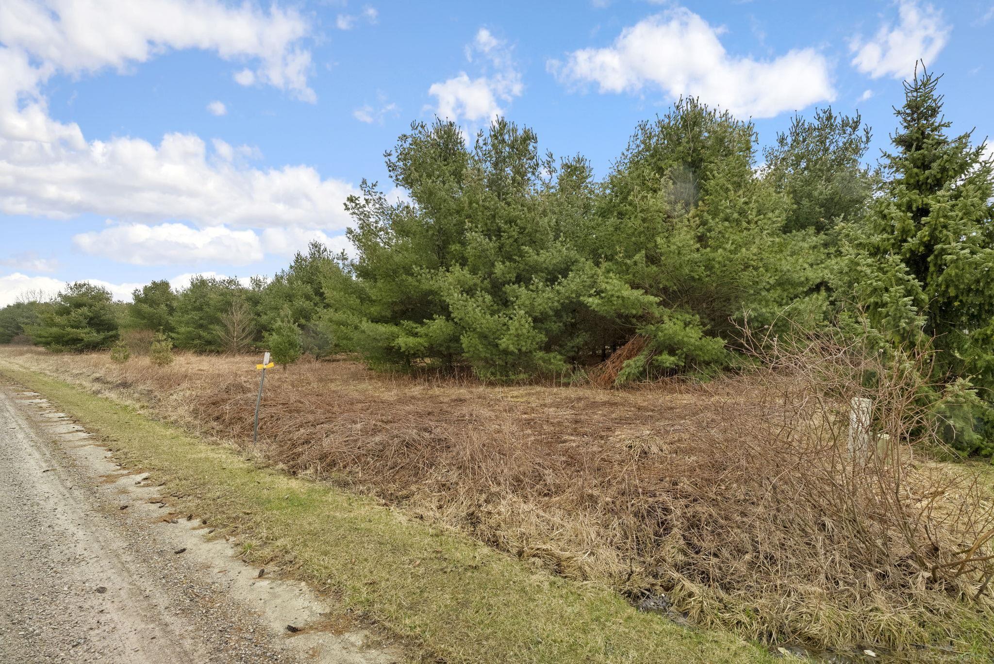 0 Aitken Road Peck, MI 48466 - Photo 10 of 11