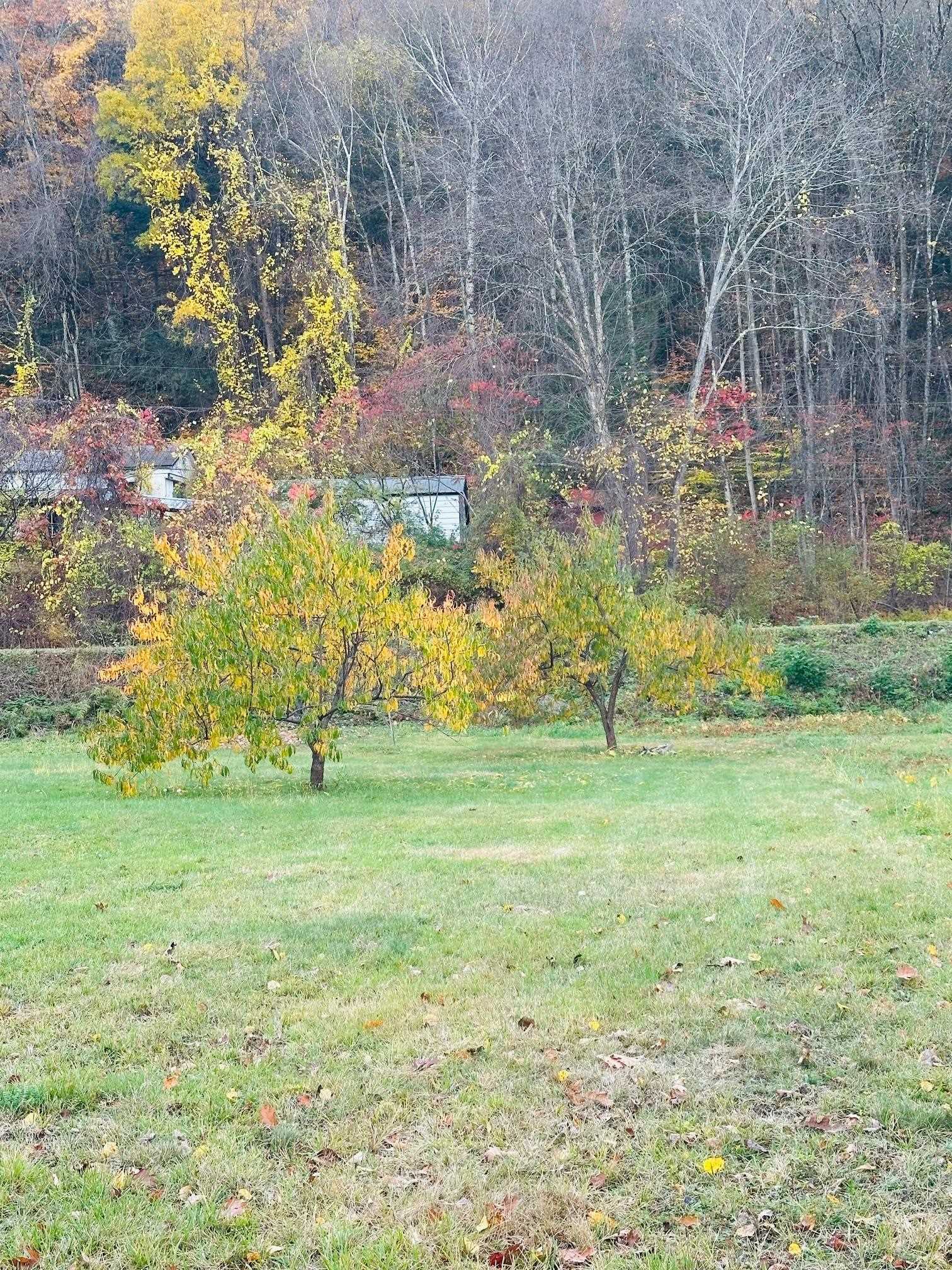 476 Missing Link Road Springfield, VT 05156 - Photo 4 of 9