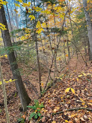 $175,000 | 476 Missing Link Road, Springfield, VT 05156