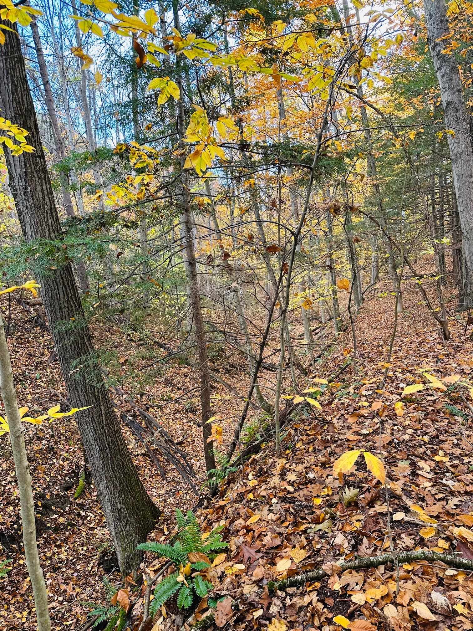 476 Missing Link Road Springfield, VT 05156 - Photo 5 of 9