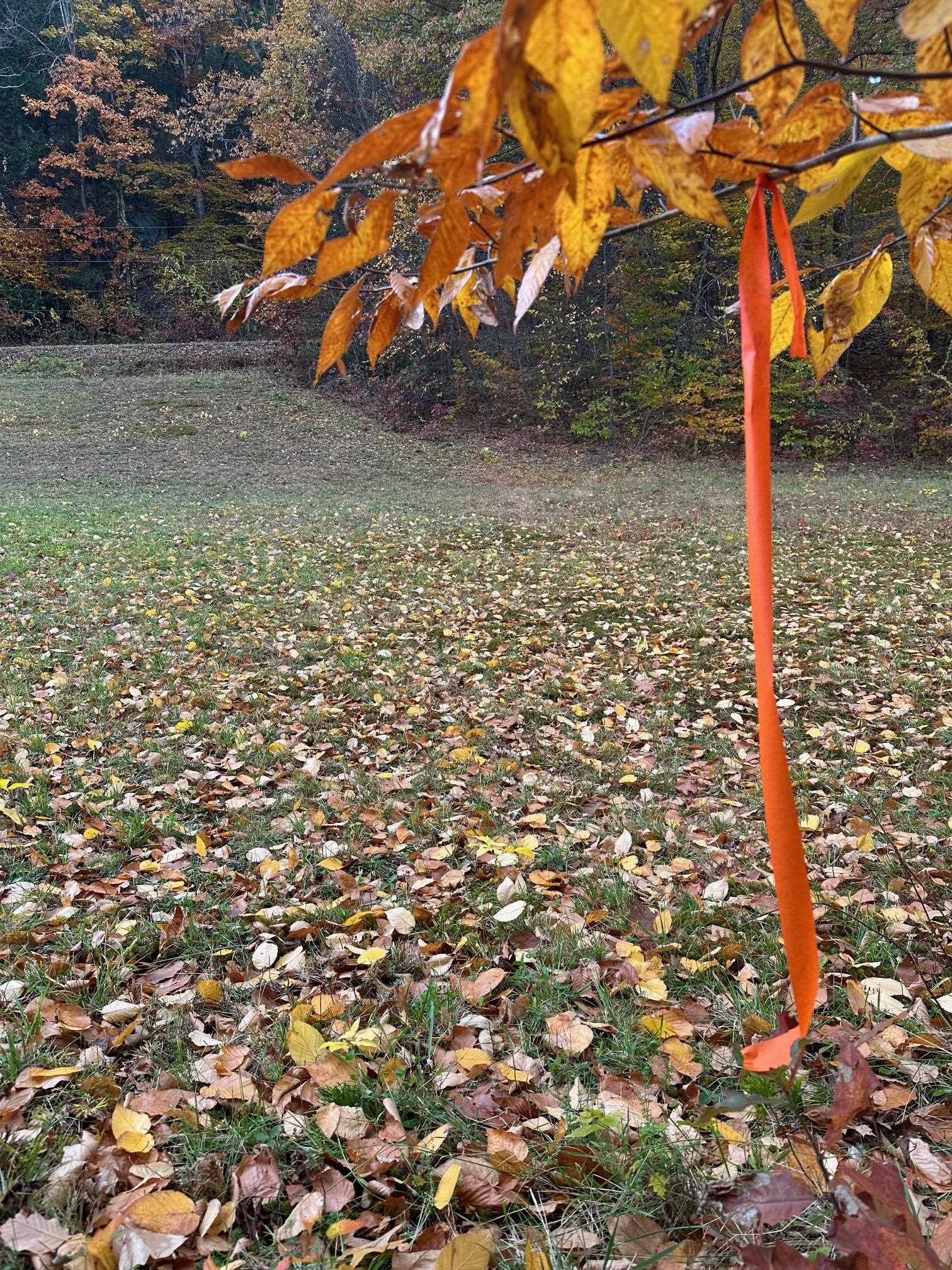 476 Missing Link Road Springfield, VT 05156 - Photo 7 of 9