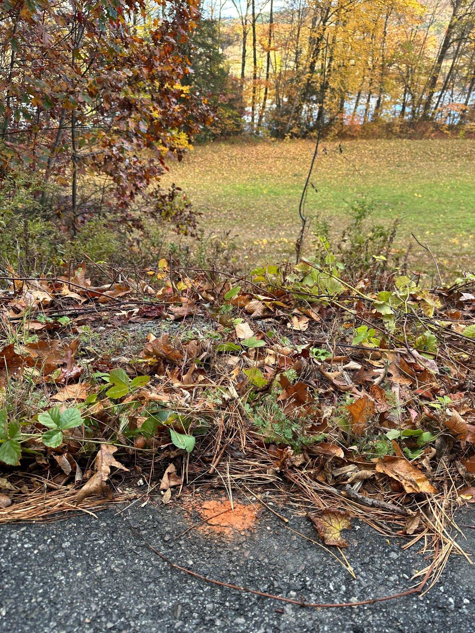 476 Missing Link Road Springfield, VT 05156 - Photo 8 of 9