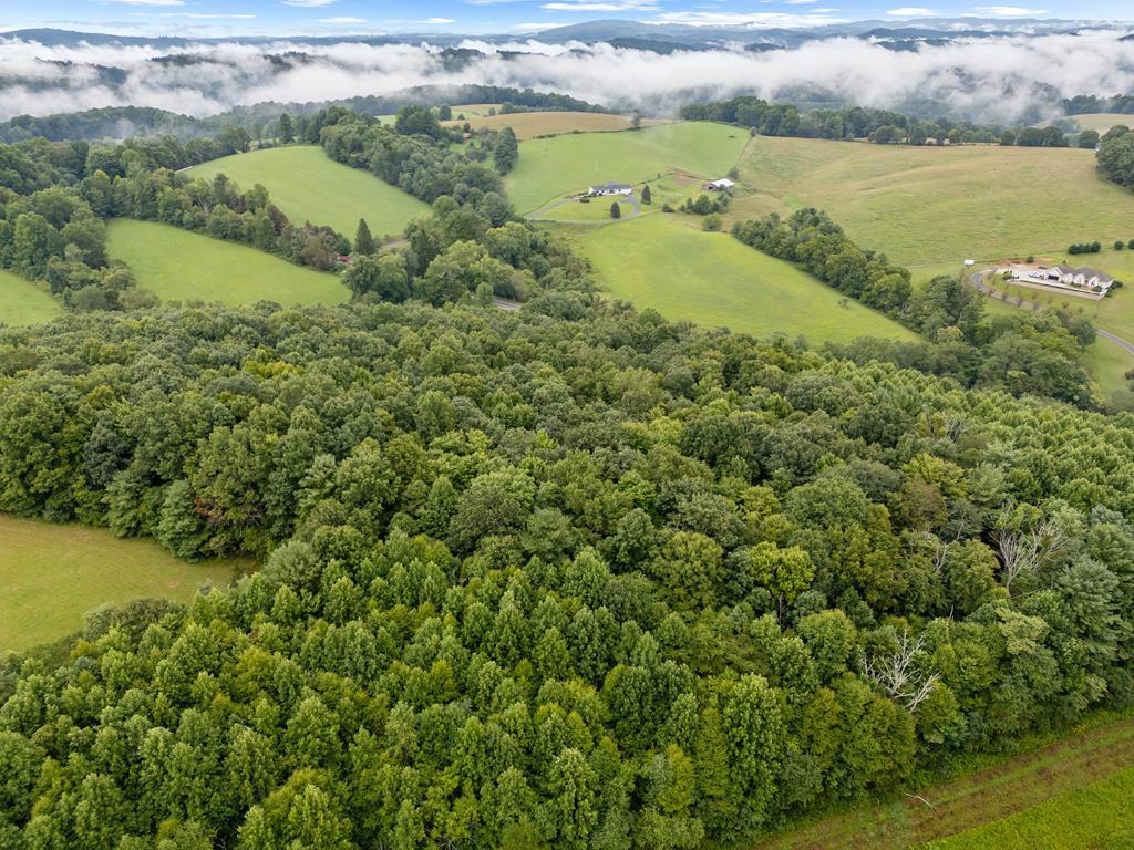 Tbd Hemlock Ridge Road Hillsville, VA 24343 - Photo 2 of 42 Gallery Image 2