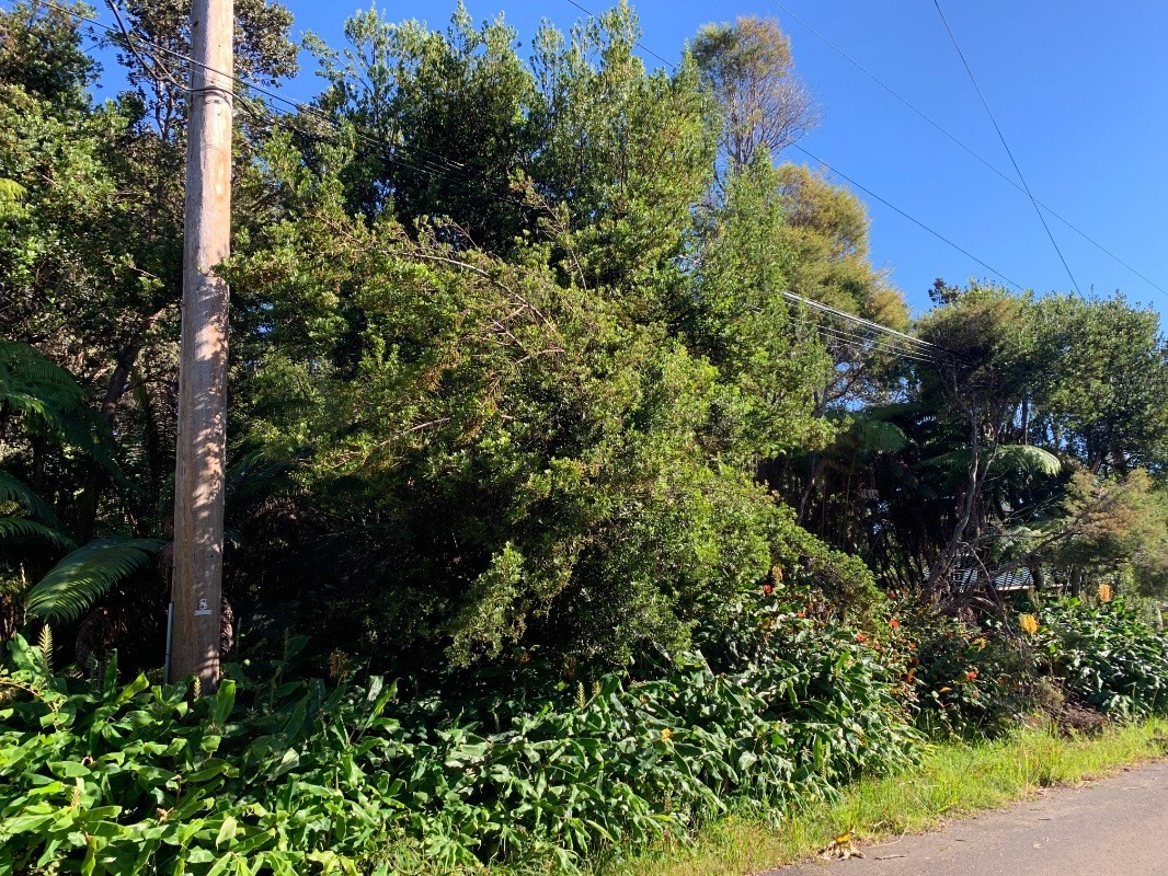 50 Hoonanea Street Volcano, HI 96785 - Photo 1 of 6 Gallery Image 1