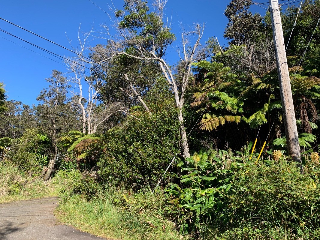 50 Hoonanea Street Volcano, HI 96785 - Photo 2 of 6 Gallery Image 2