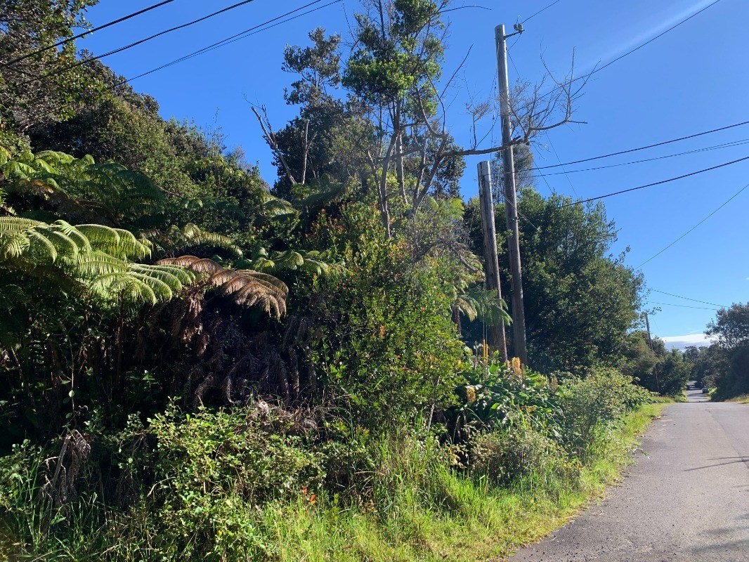 50 Hoonanea Street Volcano, HI 96785 - Photo 5 of 6 Gallery Image 5