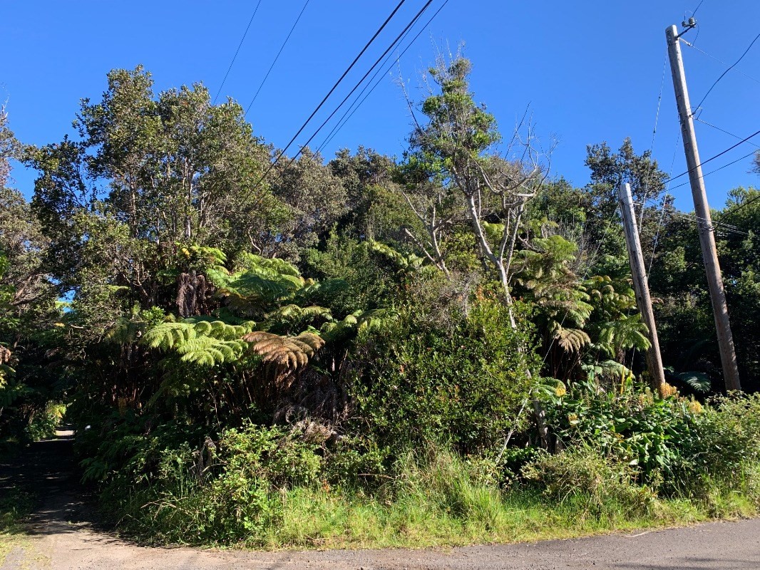 50 Hoonanea Street Volcano, HI 96785 - Photo 6 of 6 Gallery Image 6