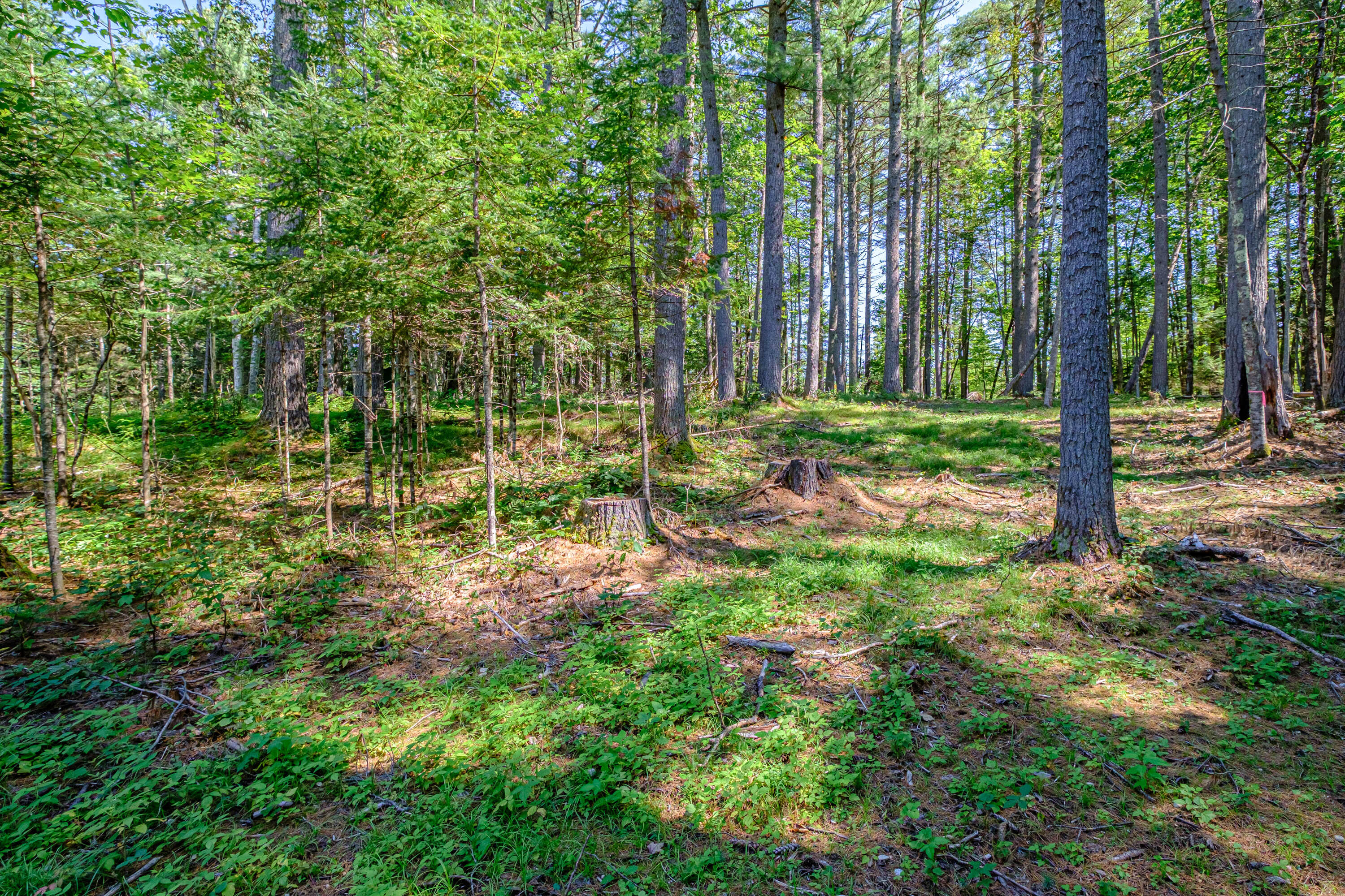 349 East Andover Road East Andover, ME 04226 - Photo 9 of 35 20230831gp-62008