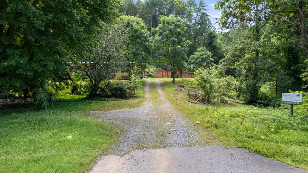 9503 Tails Creek Road Ellijay, GA 30540 - Photo 25 of 30 a view of yard with green space