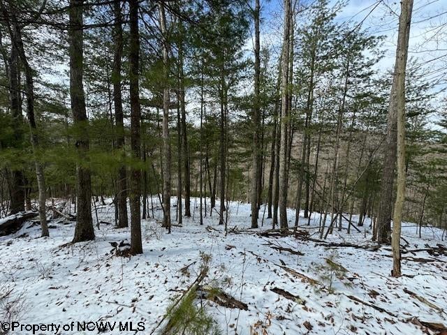 1 Spruce Run Poca, WV 25159 - Photo 18 of 38 Gallery Image 18