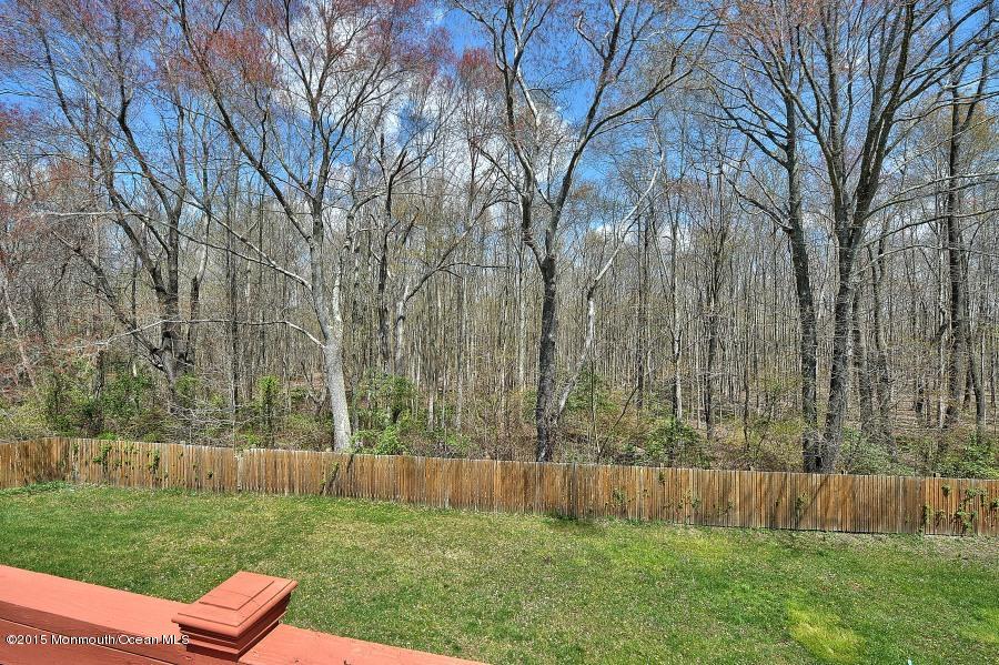 33 Larrison Road Wrightstown, NJ 08562 - Photo 32 of 35 a view of yard with green space