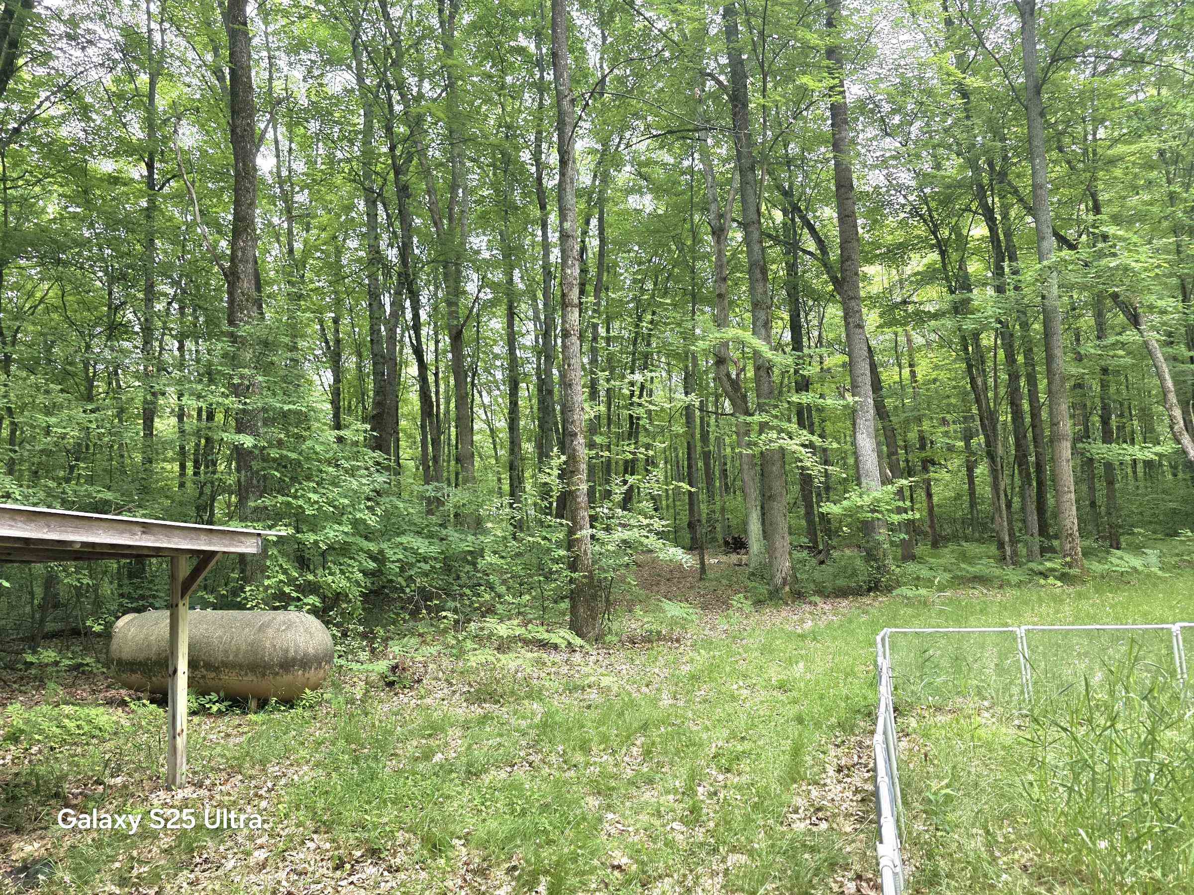 10135 Woods Road Gladwin, MI 48624 - Photo 3 of 54