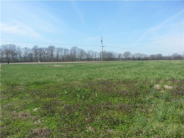4357 Matthews Road Cedar Hill, TN 37032 - Photo 12 of 12 Gallery Image 12