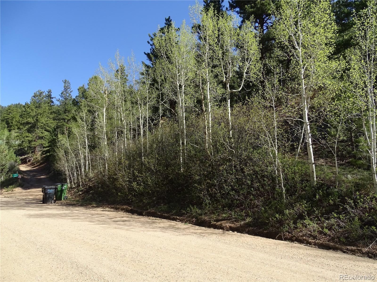 7394 County Road 43 Bailey, CO 80421 - Photo 11 of 12 a view of a backyard of the house