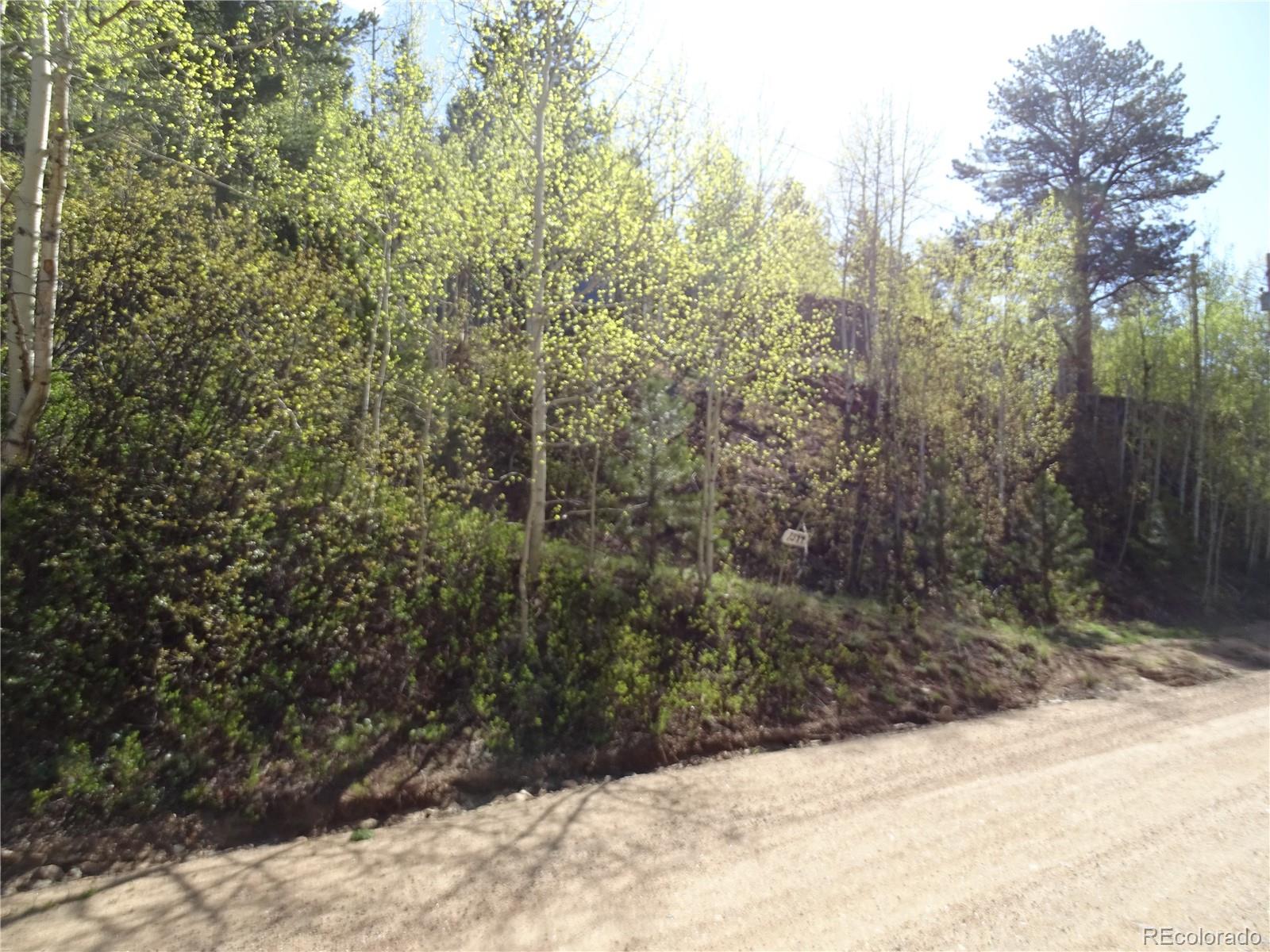7394 County Road 43 Bailey, CO 80421 - Photo 12 of 12 a view of a yard covered in snow