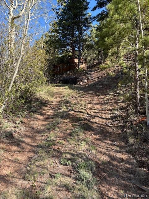 7394 County Road 43 Bailey, CO 80421 - Photo 3 of 12 a view of outdoor space with a house
