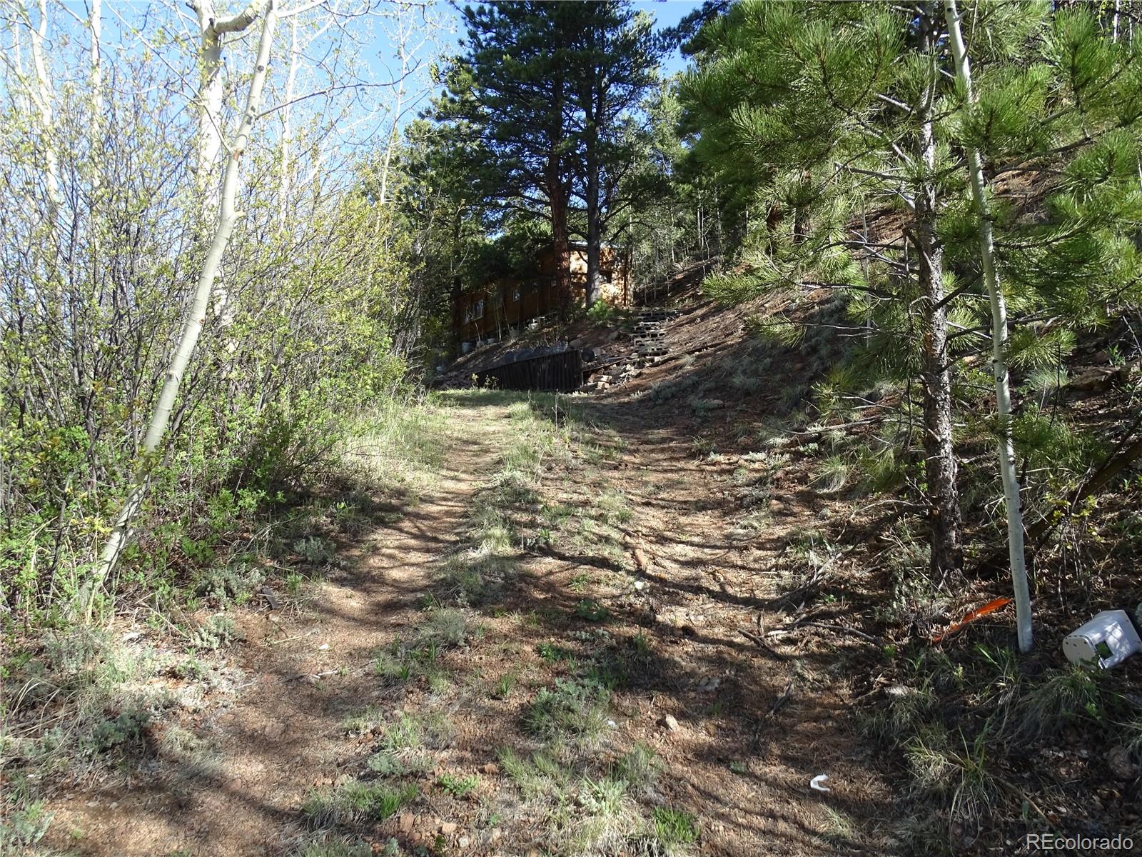7394 County Road 43 Bailey, CO 80421 - Photo 8 of 12 a view of a tree in a yard