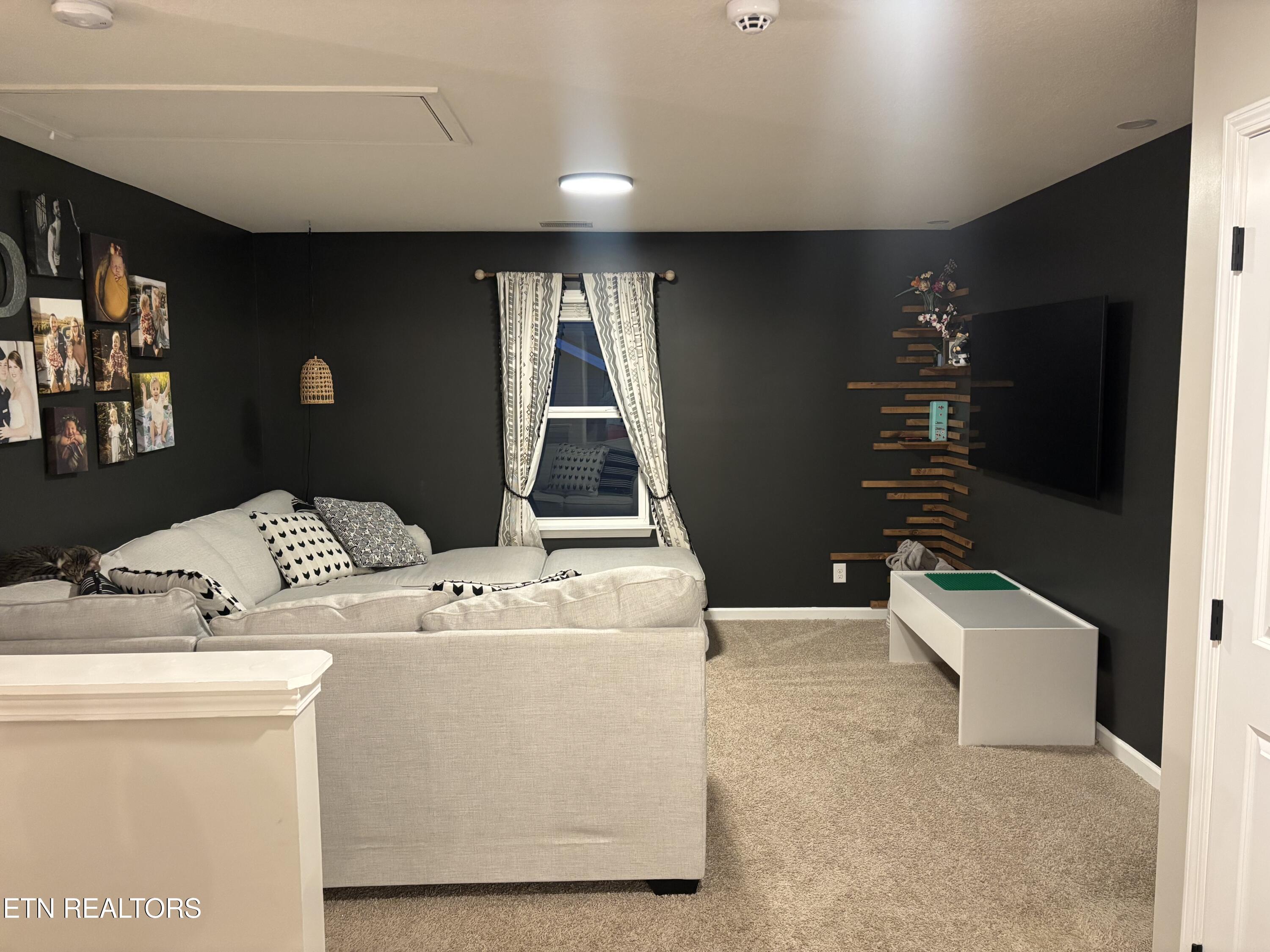 1177 Raccoon Lane Piney Flats, TN 37686 - Photo 15 of 33 IMG_3660