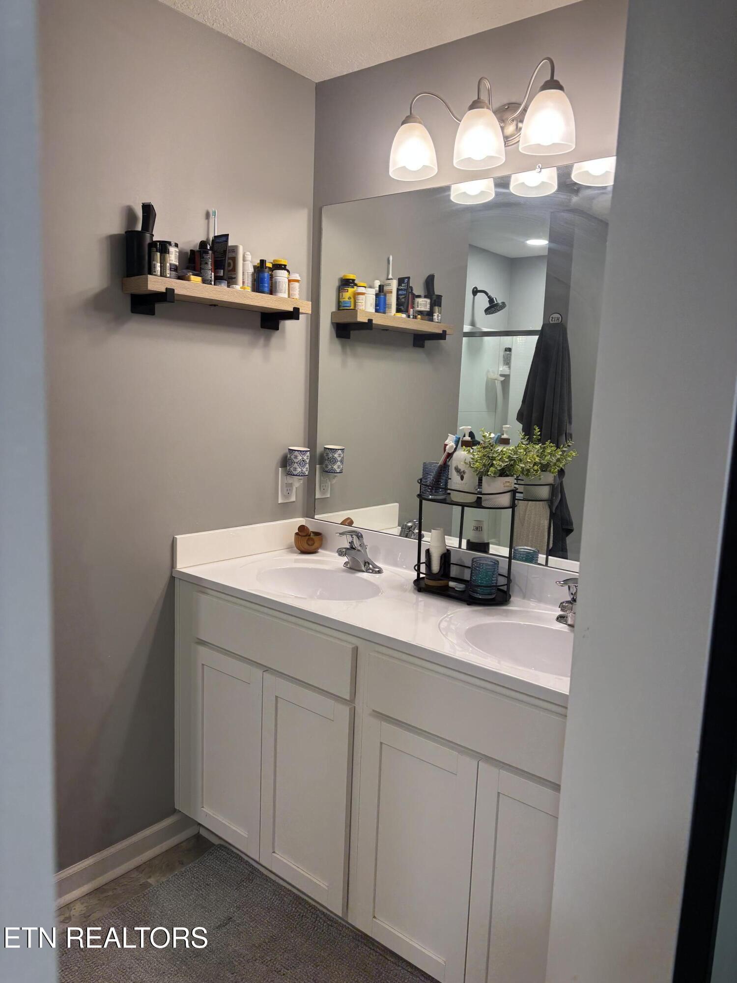 1177 Raccoon Lane Piney Flats, TN 37686 - Photo 20 of 33 IMG_3685