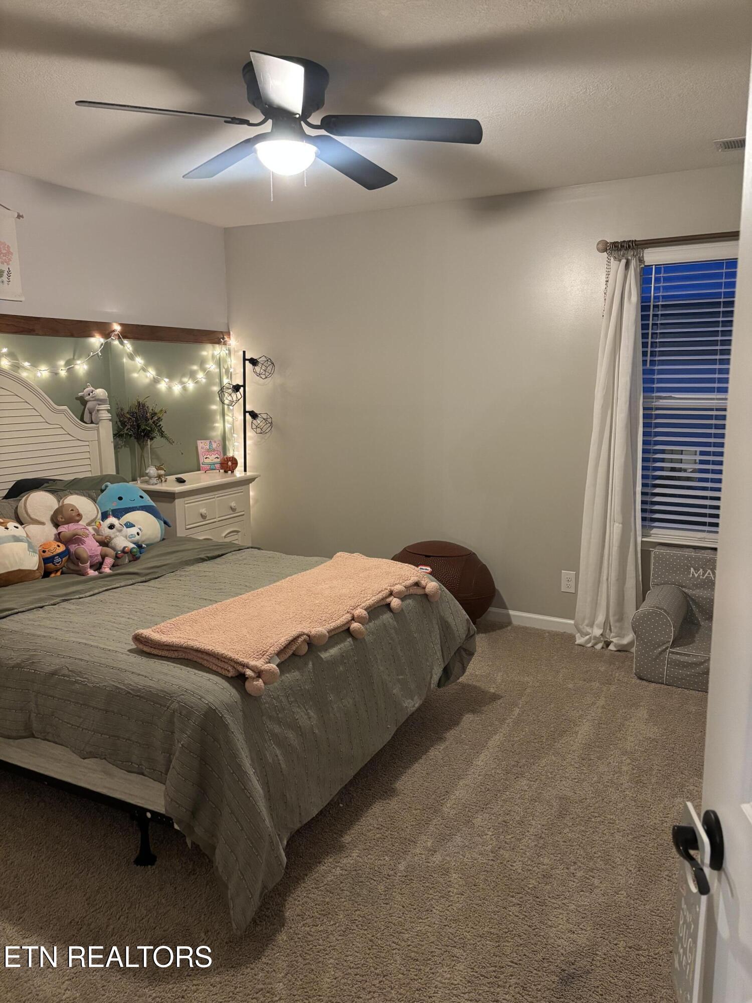 1177 Raccoon Lane Piney Flats, TN 37686 - Photo 24 of 33 IMG_3662