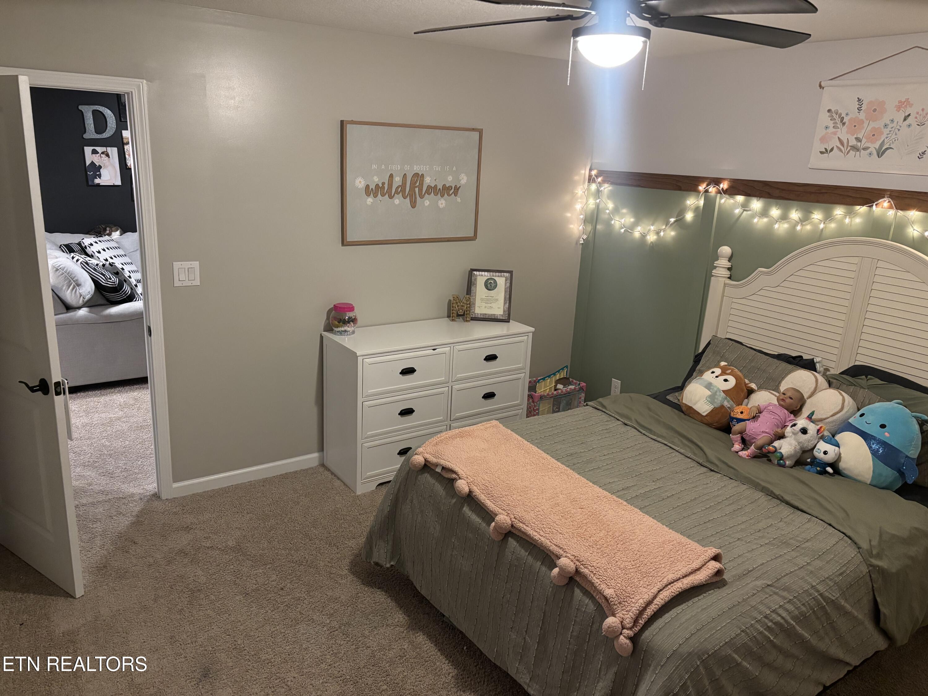 1177 Raccoon Lane Piney Flats, TN 37686 - Photo 25 of 33 IMG_3664