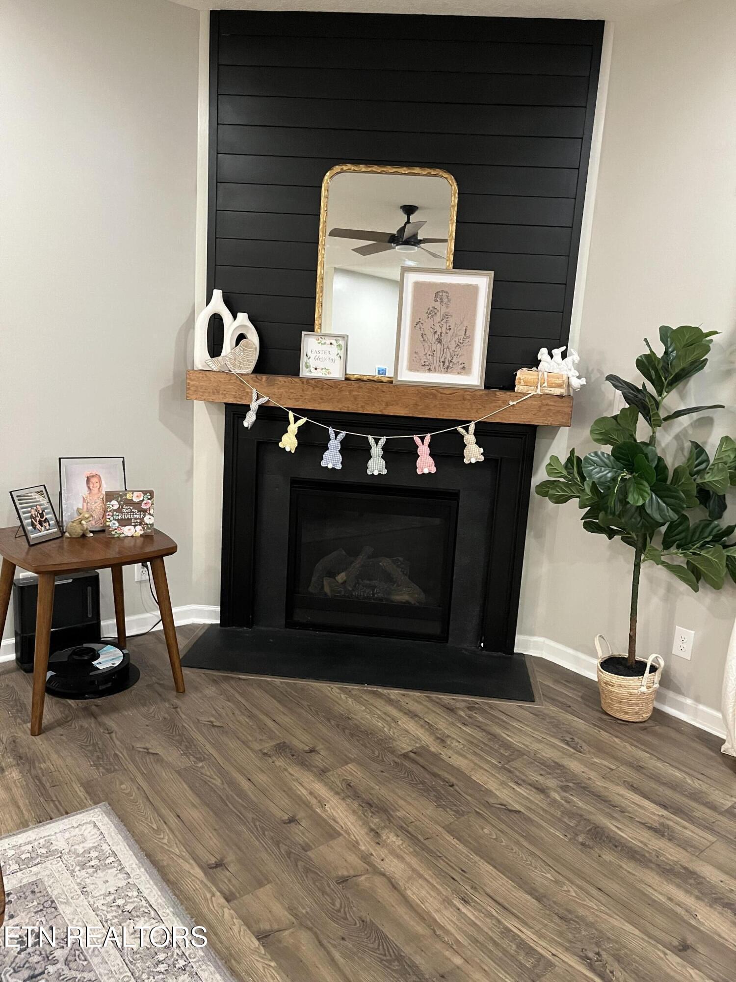 1177 Raccoon Lane Piney Flats, TN 37686 - Photo 8 of 33 IMG_5332