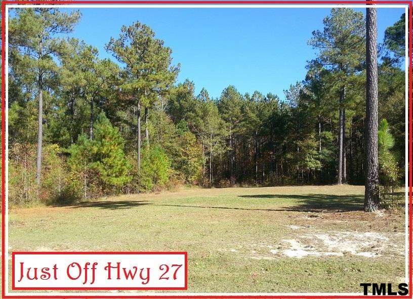 Deer Track Road Lillington, NC 27546 - Photo 2 of 5 Gallery Image 2
