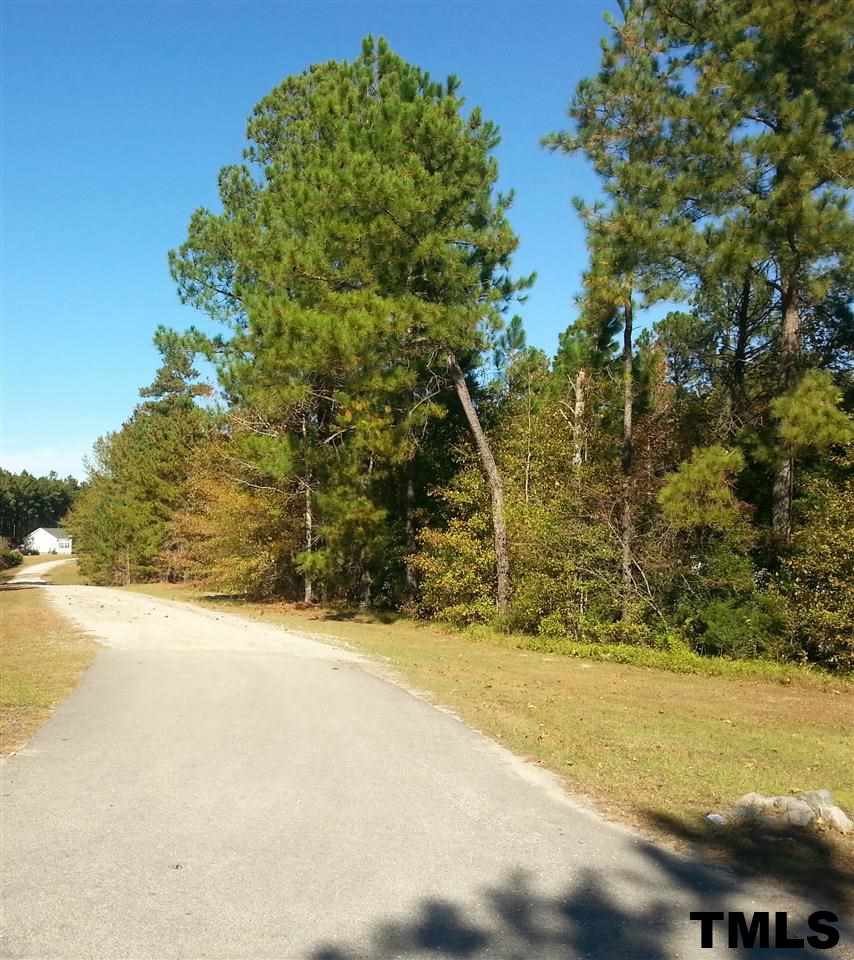 Deer Track Road Lillington, NC 27546 - Photo 3 of 5 Gallery Image 3