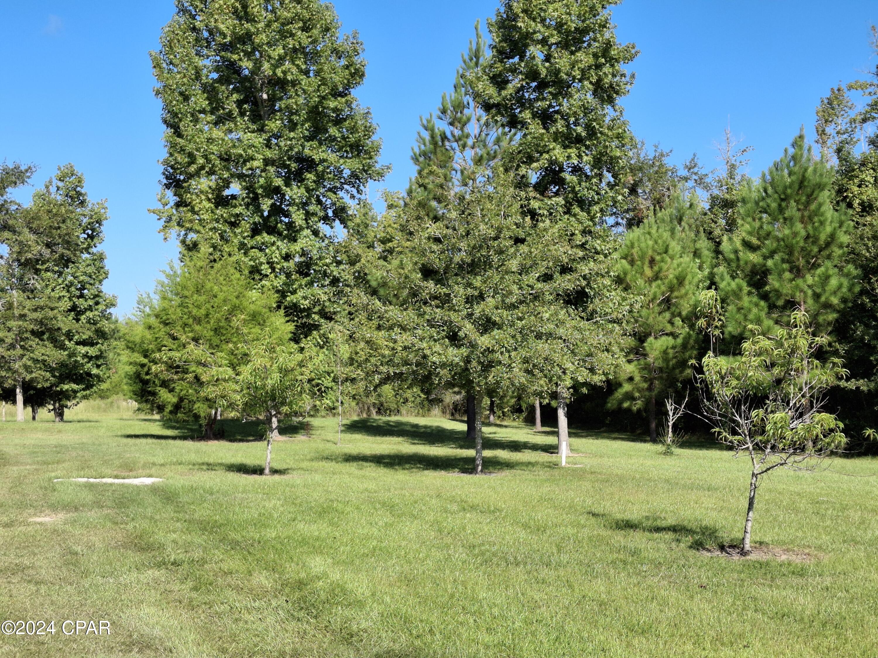 2731 State Correctional Road Marianna, FL 32448 - Photo 11 of 40 Gallery Image 11