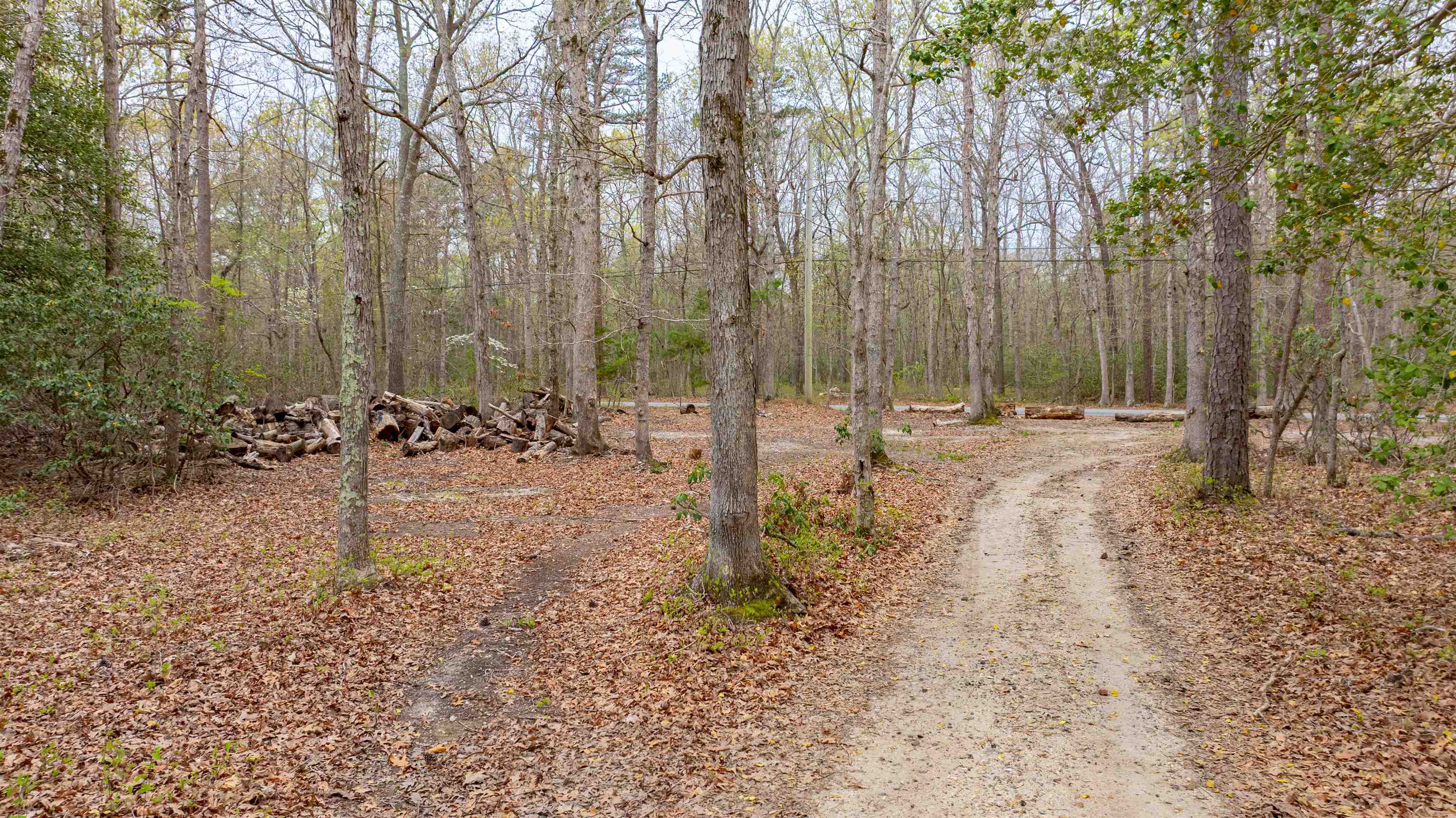 211 Tyler Road Woodbine, NJ 08270 - Photo 46 of 49