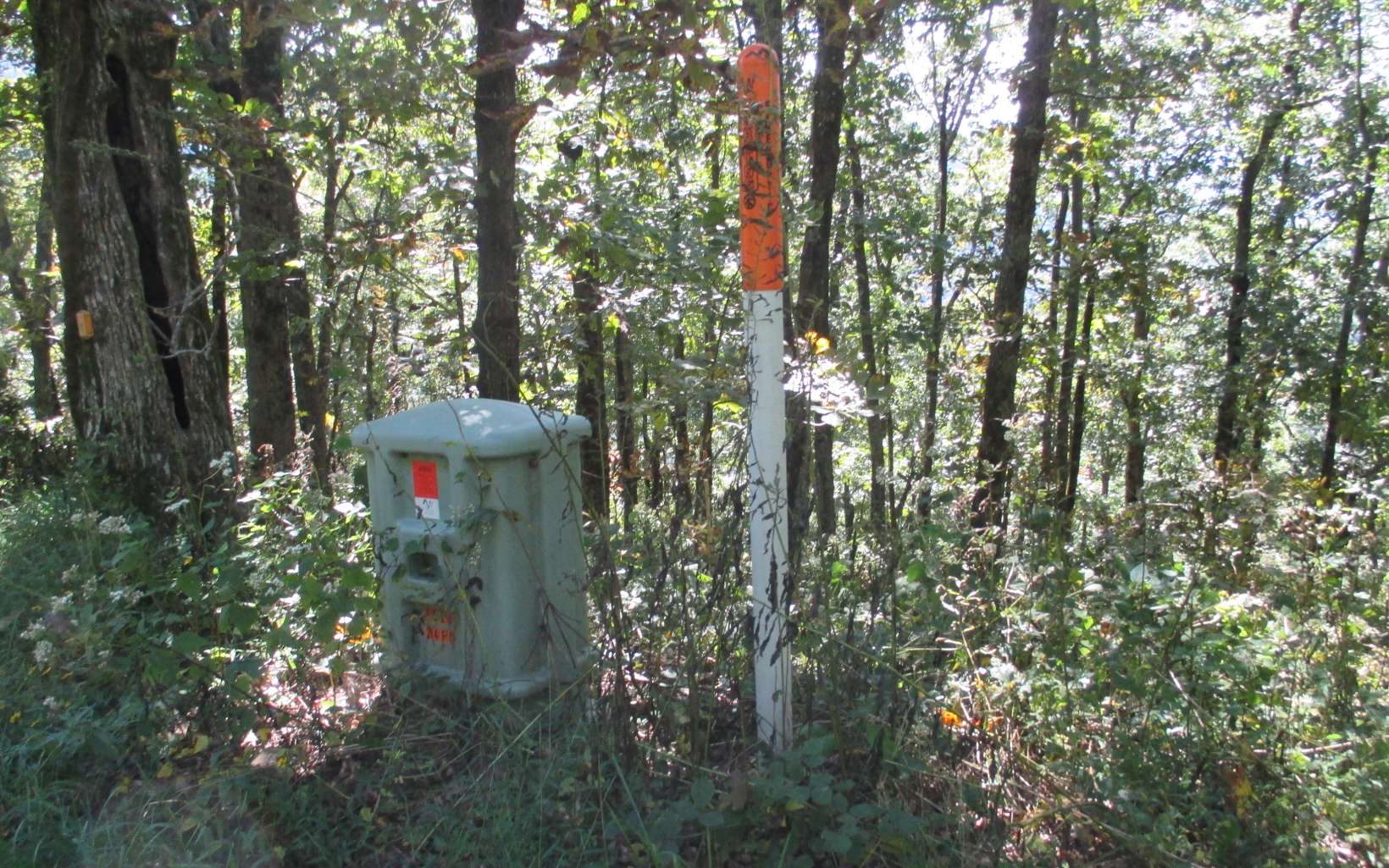 25 Monument Road Jasper, GA 30143 - Photo 2 of 4 Additional View