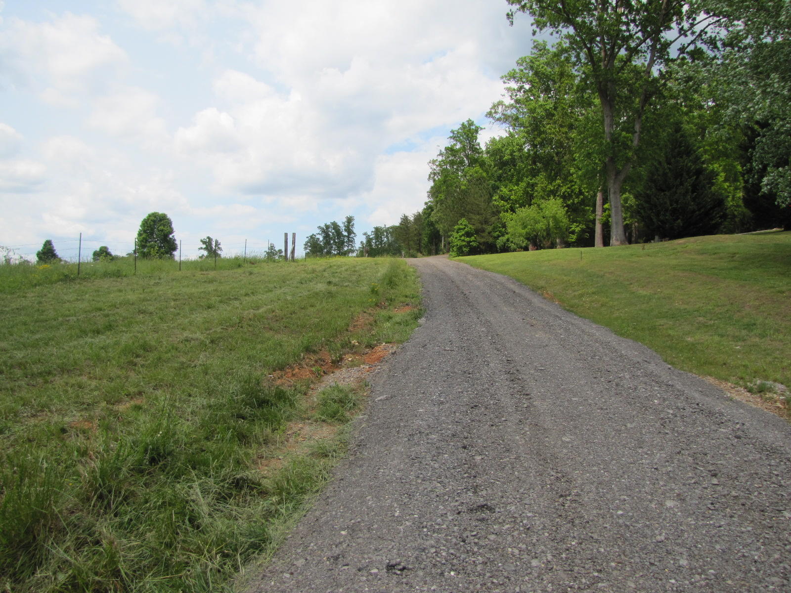 428 Cookson Creek Road Ocoee, TN 37361 - Photo 6 of 56 IMG_6280