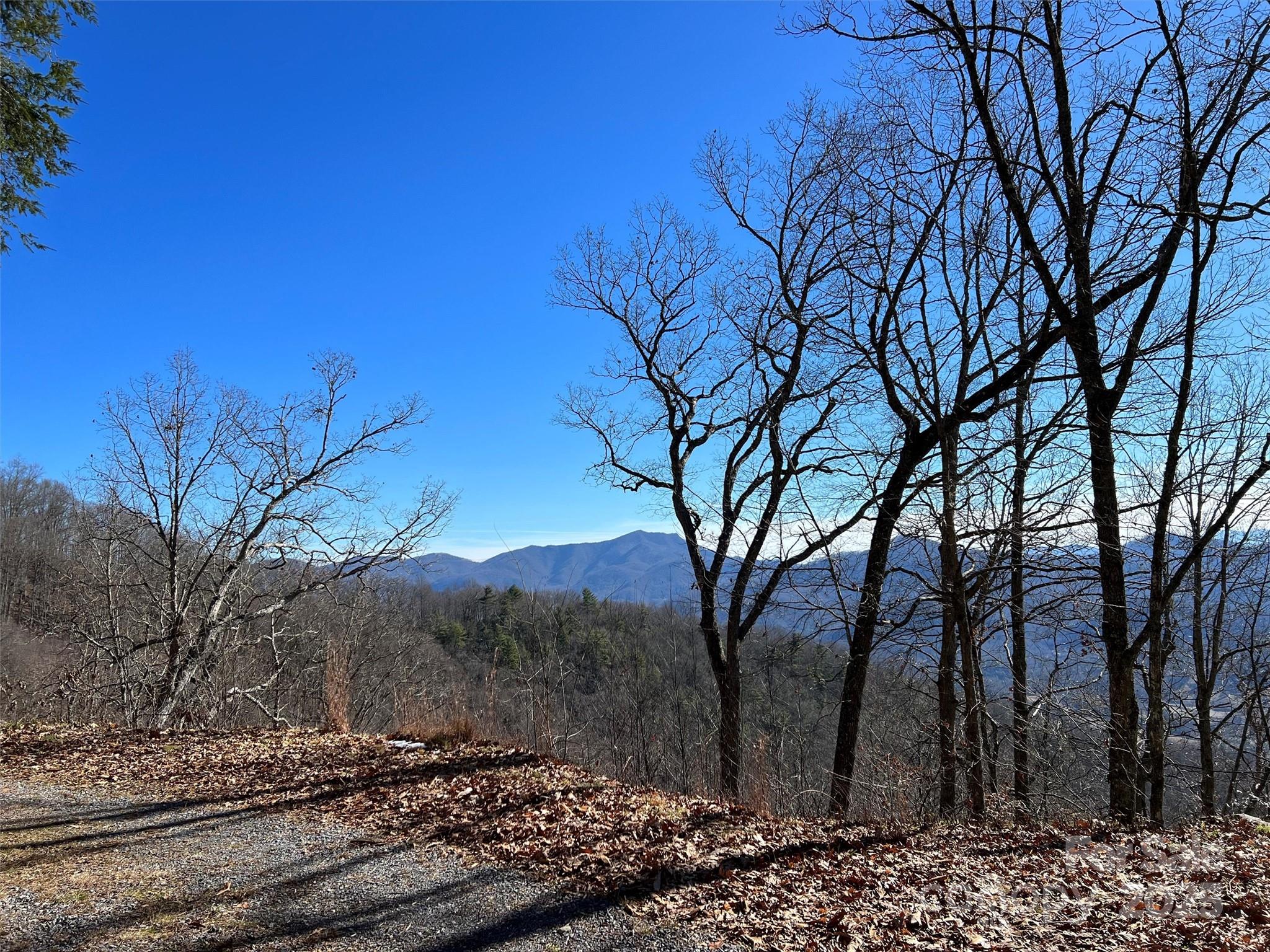 0 Barn Cove Road, Unit 61 & 62 Clyde, NC 28721 - Photo 14 of 16