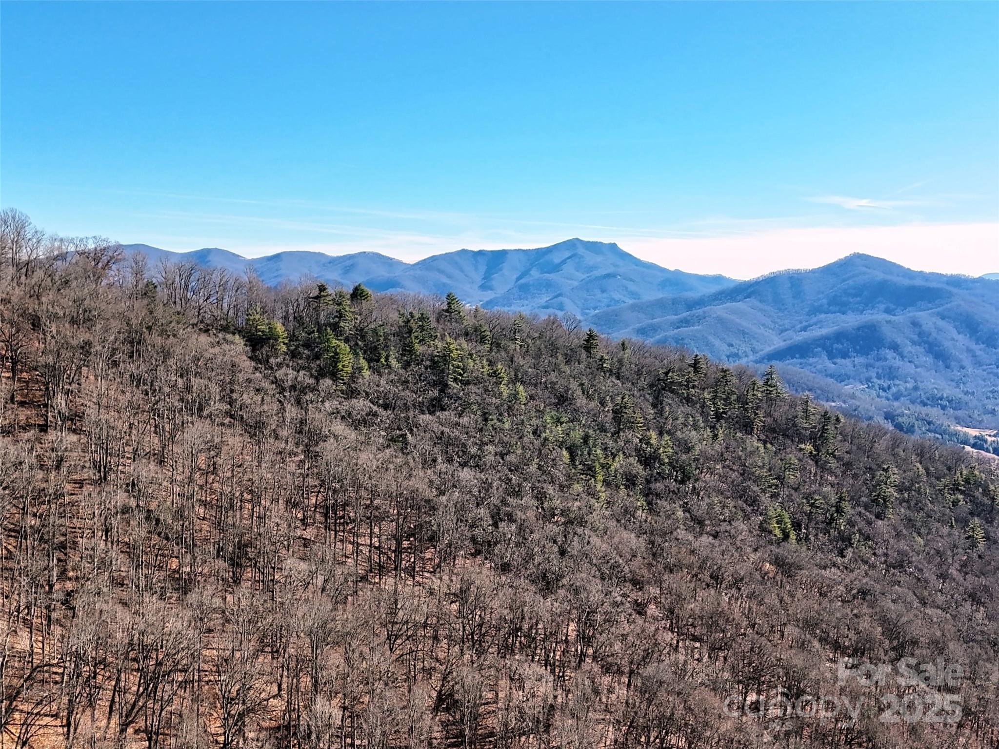 0 Barn Cove Road, Unit 61 & 62 Clyde, NC 28721 - Photo 4 of 16