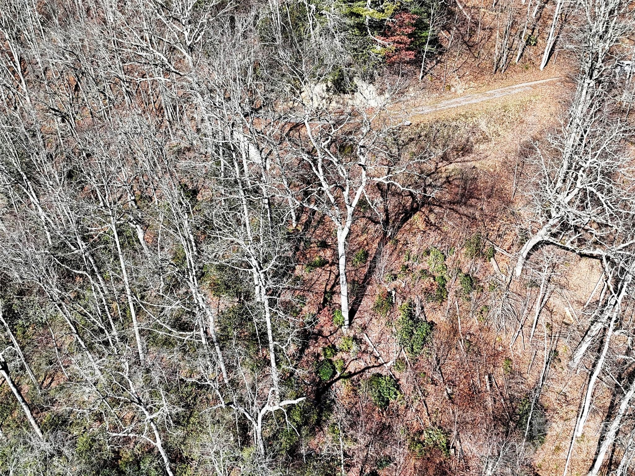 0 Barn Cove Road, Unit 61 & 62 Clyde, NC 28721 - Photo 6 of 16