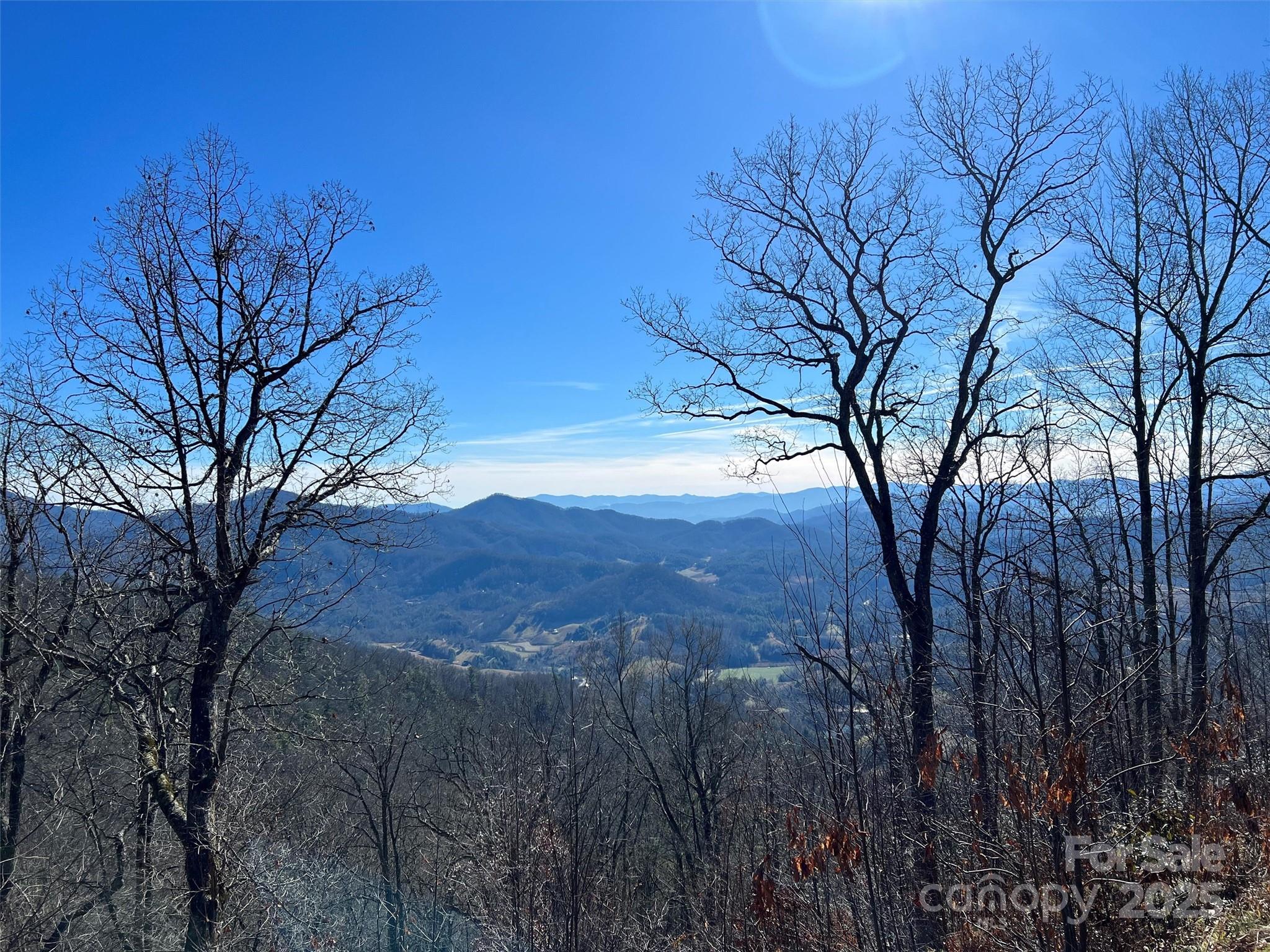 0 Barn Cove Road, Unit 61 & 62 Clyde, NC 28721 - Photo 10 of 16