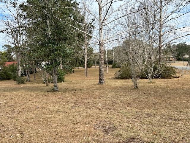 17403 Southwest 27 Ct Road Ocala, FL 34473 - Photo 12 of 47 a view of a yard with a tree