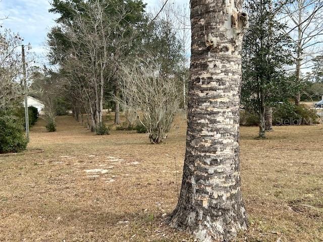 17403 Southwest 27 Ct Road Ocala, FL 34473 - Photo 13 of 47