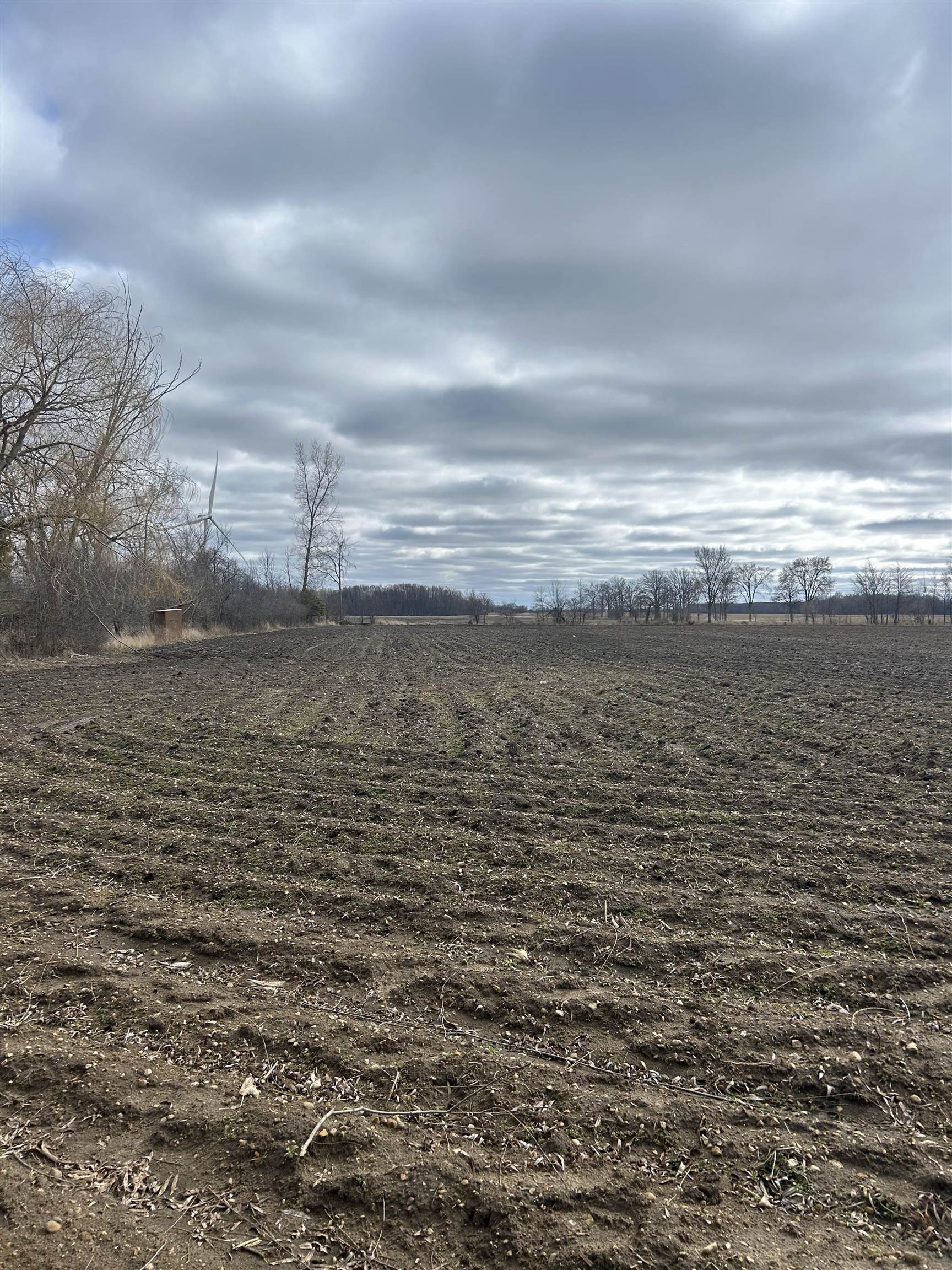 V/l(9000 North Winans Road Alma, MI 48801 - Photo 8 of 9